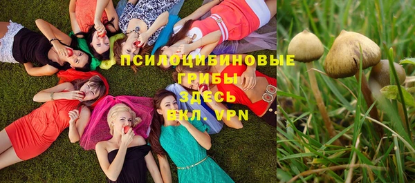 хмурый Белокуриха
