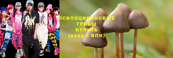 гидра Беломорск