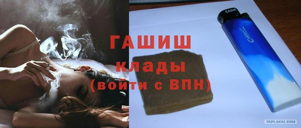 хмурый Белокуриха