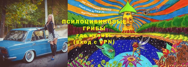 хмурый Белокуриха