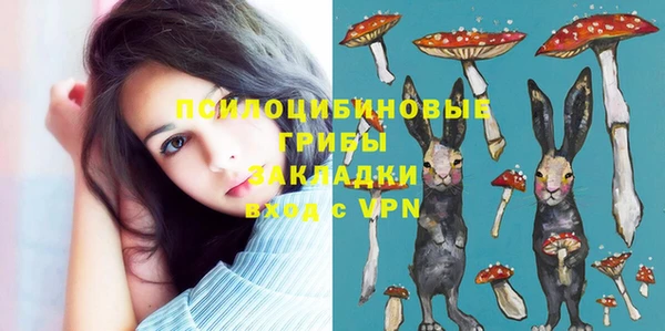 гидра Беломорск