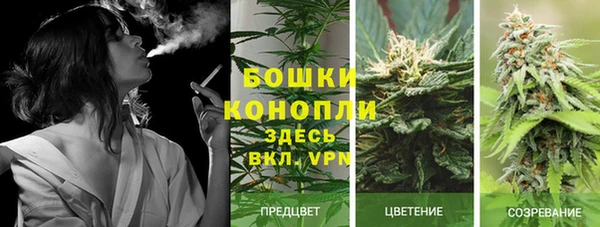 гидра Беломорск