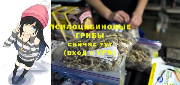 хмурый Белокуриха