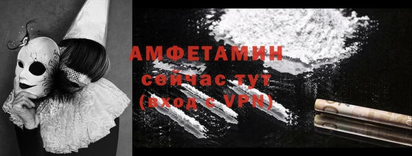 хмурый Белокуриха